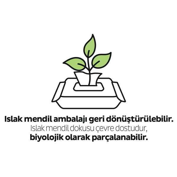 Sleepy Ecologic Yenidoğan Islak Bebek Bakım Havlusu 40 Yaprak