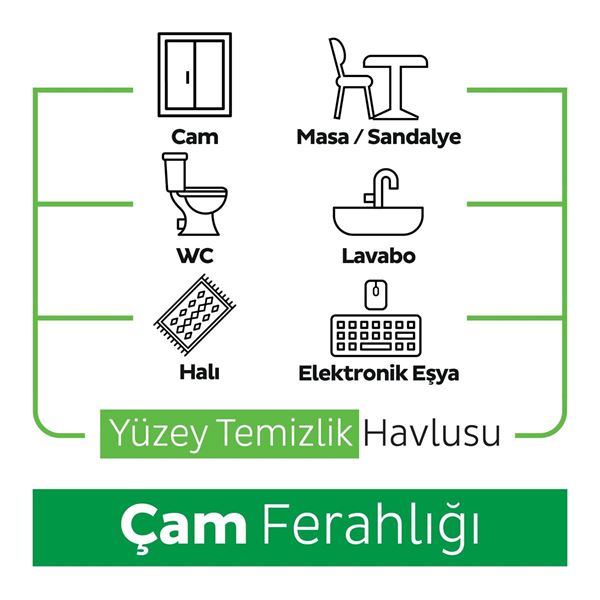 Sleepy Pine Yüzey Temizlik Havlusu&Mendili Çam Ferahlığı 100 Yaprak