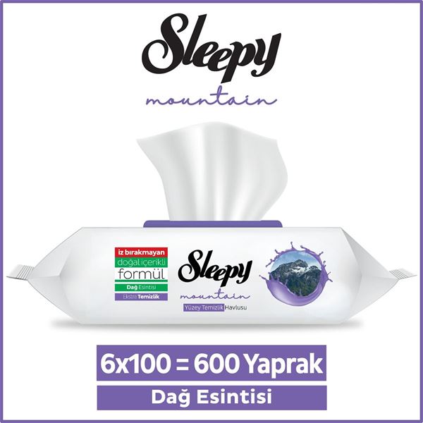 Resim Sleepy Mountain Yüzey Temizlik Havlusu&Mendili Dağ Esintisi 6x100 (600 Yaprak)