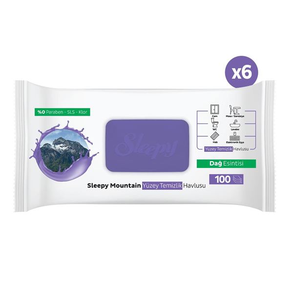 Sleepy Mountain Yüzey Temizlik Havlusu&Mendili Dağ Esintisi 6x100 (600 Yaprak)