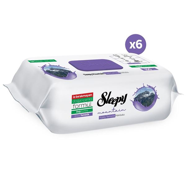 Sleepy Mountain Yüzey Temizlik Havlusu&Mendili Dağ Esintisi 6x100 (600 Yaprak)