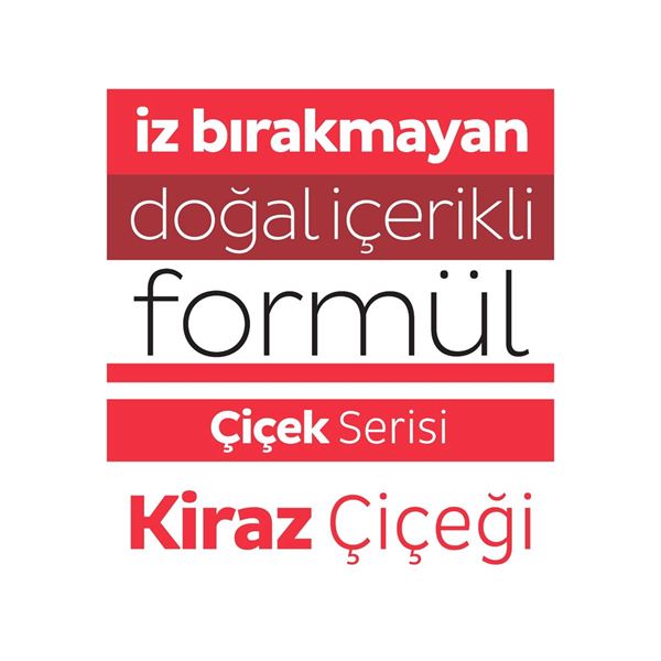 Sleepy Easy Clean Kiraz Çiçeği Yüzey Temizlik Havlusu&Mendili 3x100 (300 Yaprak)